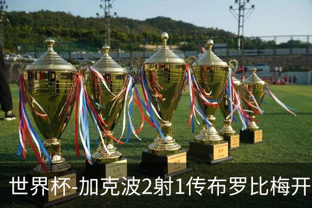 世界杯-加克波2射1传布罗比梅开二度 荷兰5-1大胜瑞典